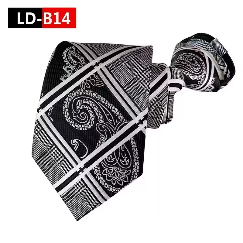 Men's Classic Paisley Jacquard Tie