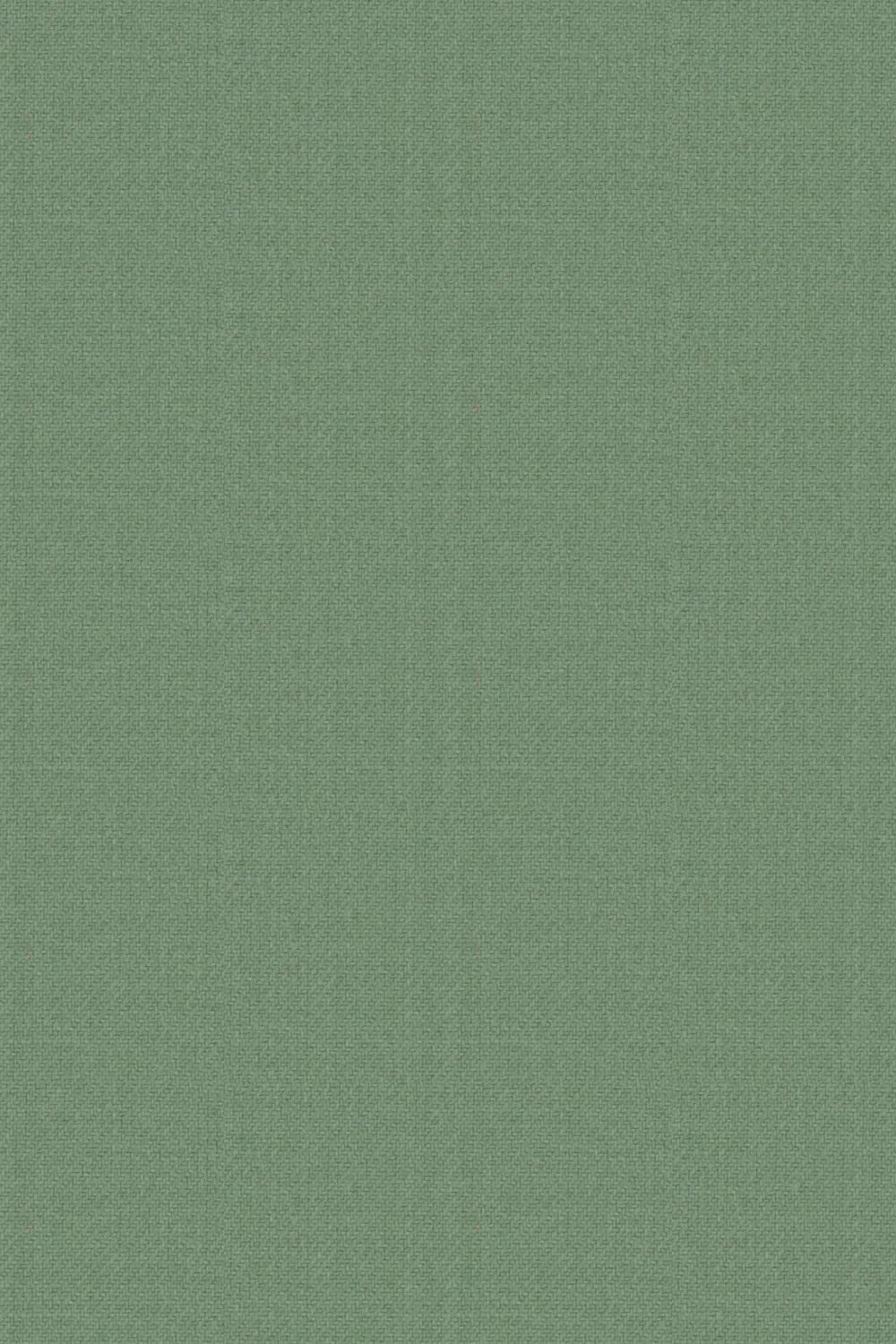 Men's Sage Green Slim Fit 2-Piece Suit