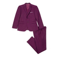 Cargar la imagen en la vista de la galería, Purple Two Button Wedding 3 Pieces Slim Fit Men Suits
