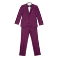 Load image into Gallery viewer, Purple Two Button Wedding 3 Pieces Slim Fit Men Suits
