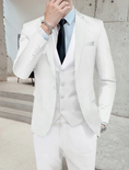 Load image into Gallery viewer, Men's Wedding Suits Business Formal Work Wear Suits 3 Piece Suits
