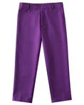 Bild in Galerie-Betrachter laden, Purple 4 Piece Boys' Formal Suit Set with Vest Pants Dress Shirt and Tie BS46
