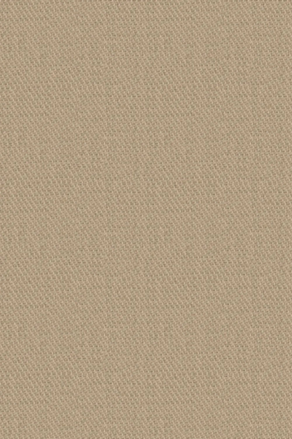 Men's Light Beige Notch Lapel 2 Piece Suit