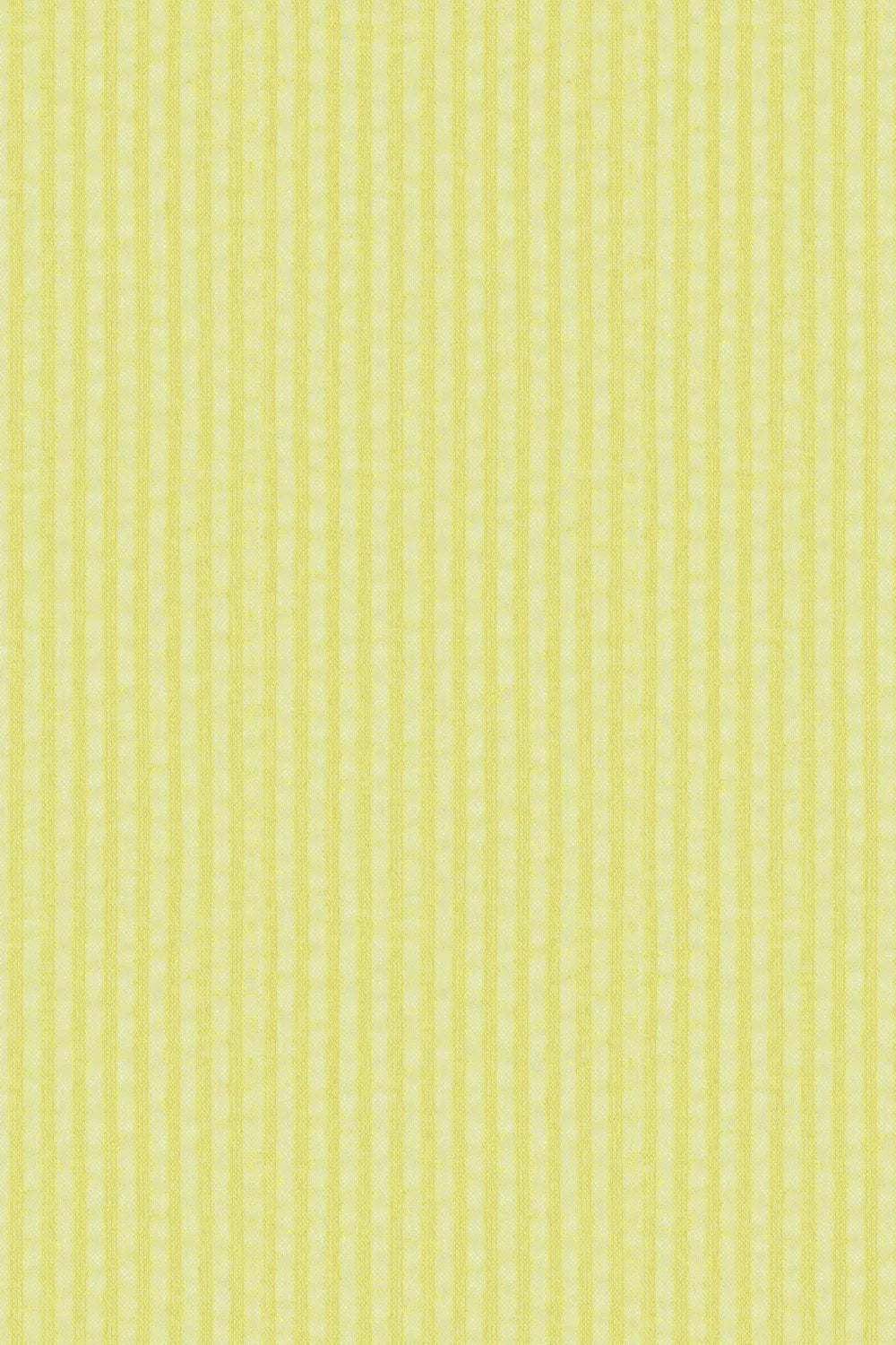 Men's Lightweight Seersucker 2 Piece Suit