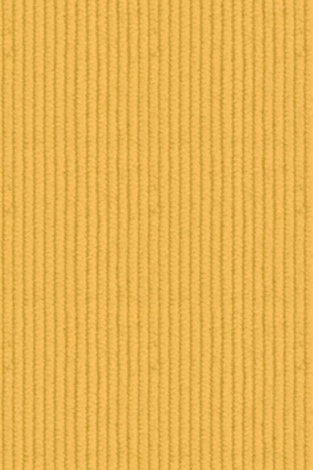 Men's Tailored Corduroy 2 Piece Suit